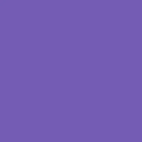 D PURPLE