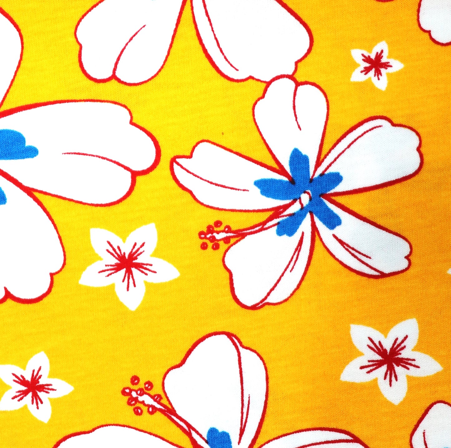 PRINT 1