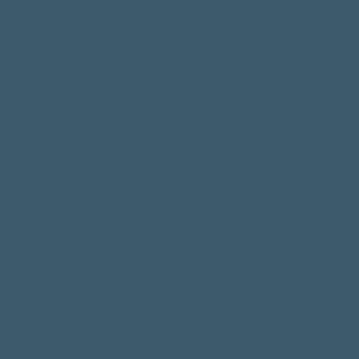 INDIAN TEAL