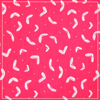 PINKY PRINT