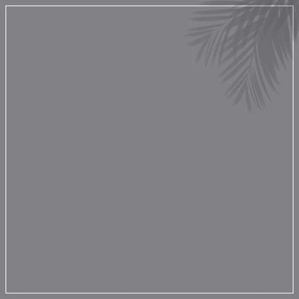 S GRAY