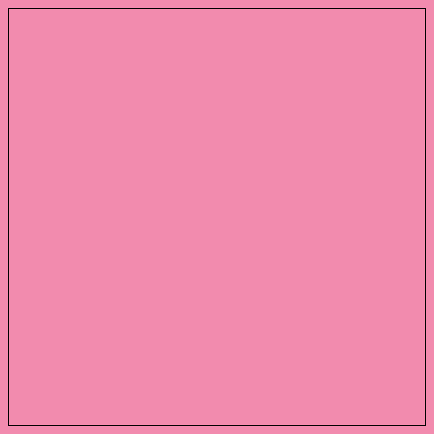 S.PINK