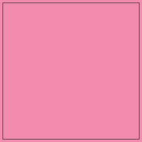 S.PINK